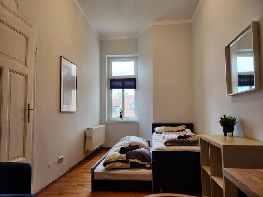 4 Raum Wohnung Mit Balkon Auf 120Sqm In Top Lage Dresden Luaran gambar